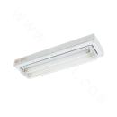 BHY Series Ceiling Type Explosion-proof Clean Fluorescent Lamp