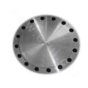 NPS10 CL600 Blind Flange