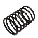 Mud Pump Valve Spring