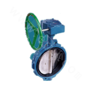 Rubber Lined Butterfly Valve