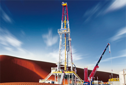 What products does ERUI provide?