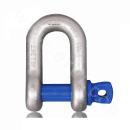 Grade S6 DW Shackle