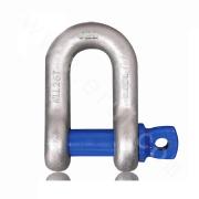 Grade T8 DW Shackle